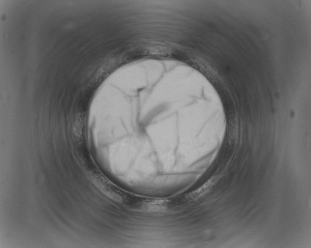 X0000081430078200702092210