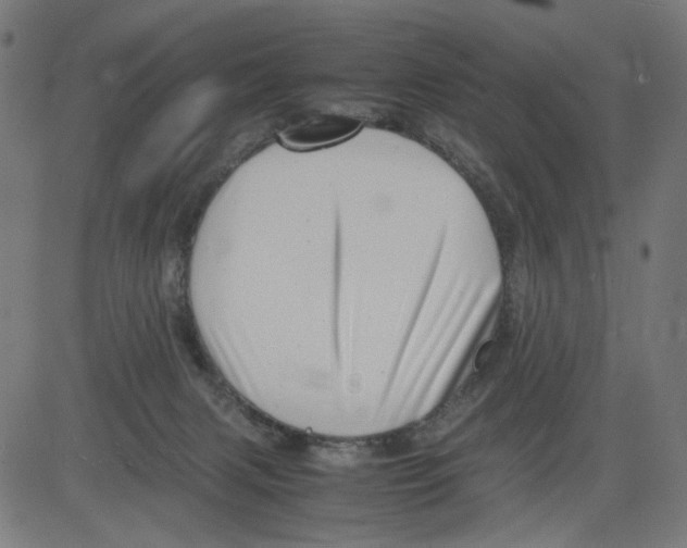 X0000081430079200702092210