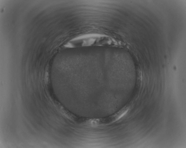 X0000081430080200702092210