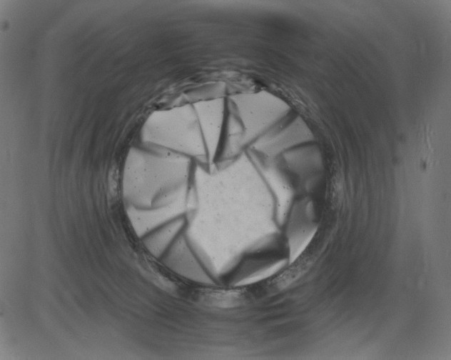 X0000081430081200702092210