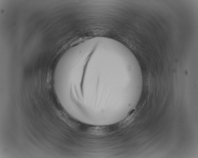 X0000081430082200702092210