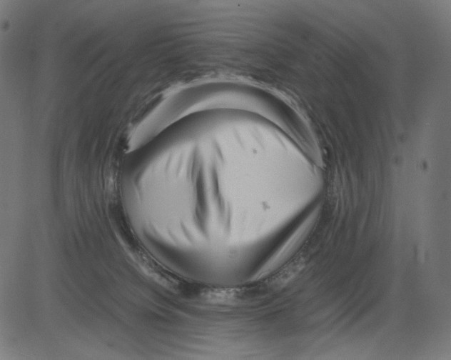 X0000081430084200702092210