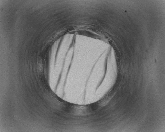 X0000081430085200702092210