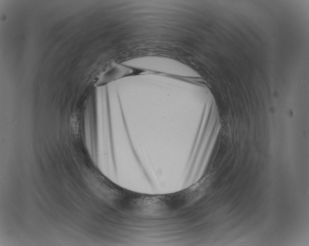 X0000081430086200702092210