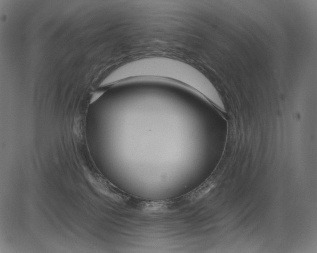 X0000081430088200702092210