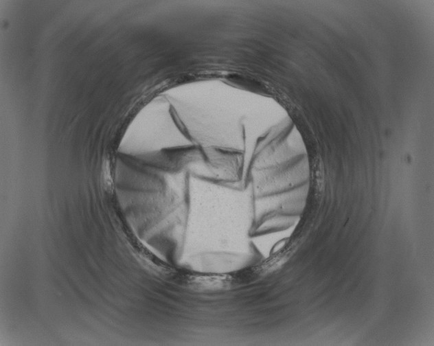 X0000081430089200702092210