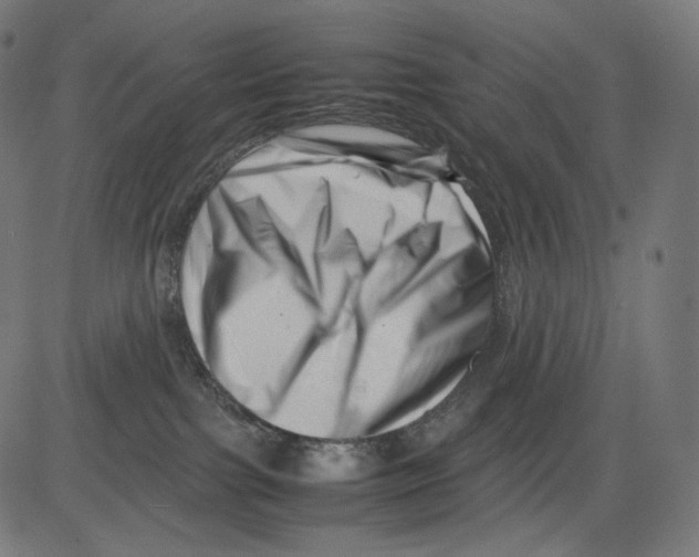 X0000081430091200702092210