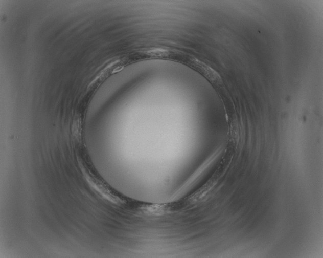 X0000081430092200702092210