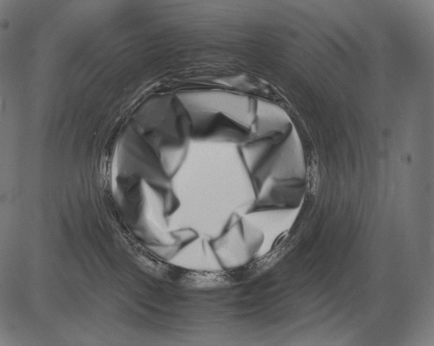 X0000081430093200702092210