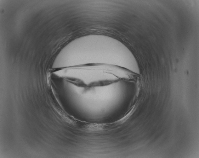 X0000081430094200702092210