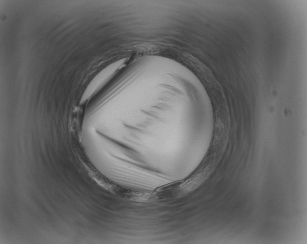 X0000081430096200702092210