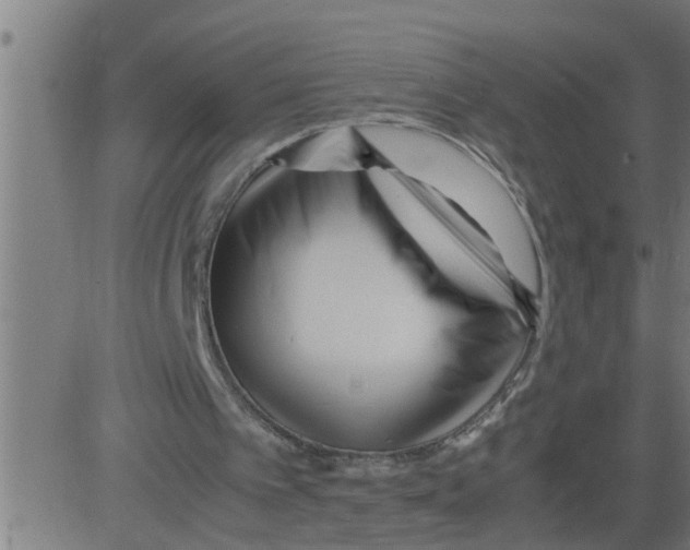 X0000081430097200702092210