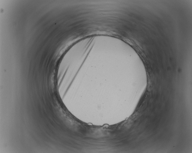 X0000081430098200702092210