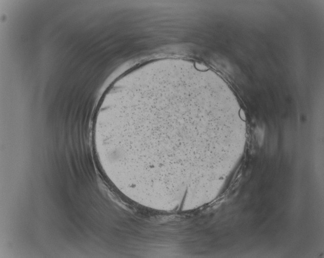 X0000081430100200702092210