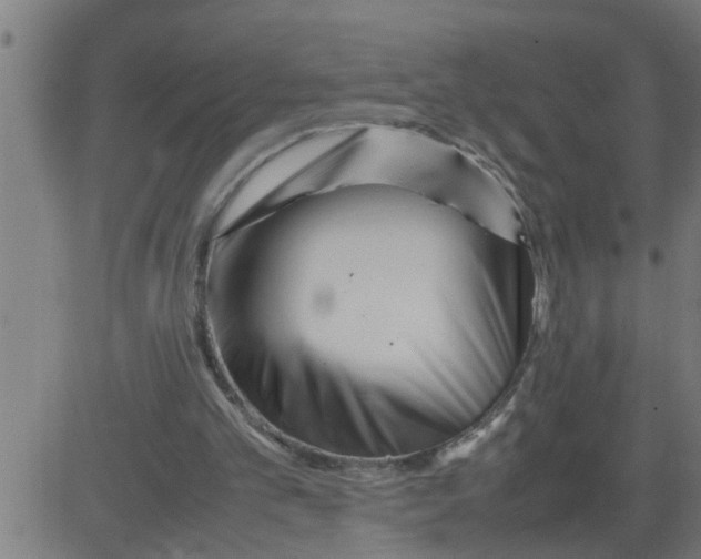 X0000081430101200702092210