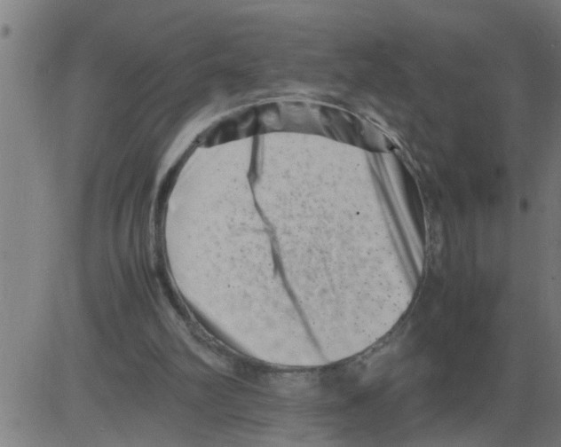 X0000081430102200702092210