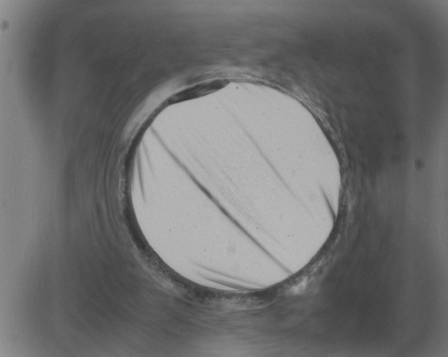 X0000081430103200702092210