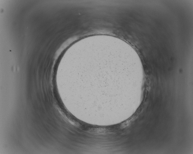 X0000081430104200702092210