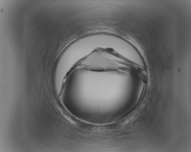 X0000081430105200702092209