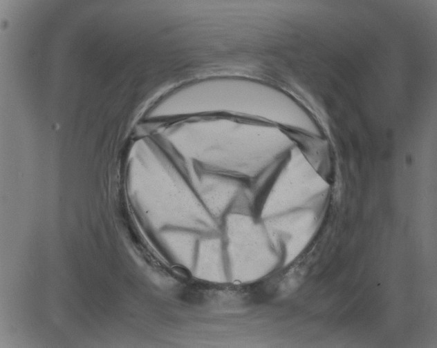 X0000081430107200702092209