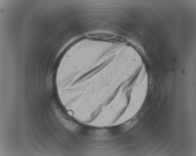 X0000081430108200702092209