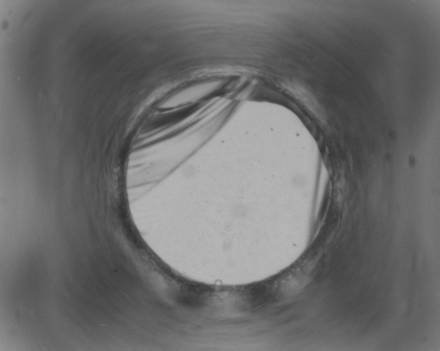 X0000081430111200702092209