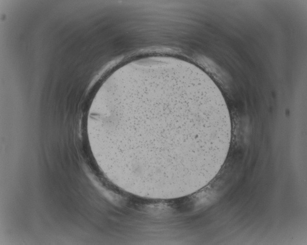 X0000081430112200702092209