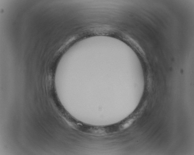 X0000081430113200702092209