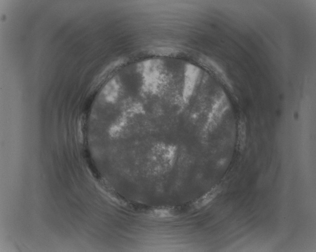 X0000081430114200702092209