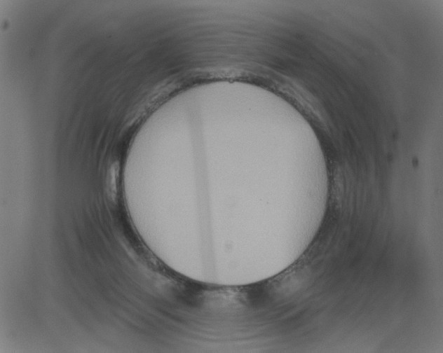 X0000081430118200702092209