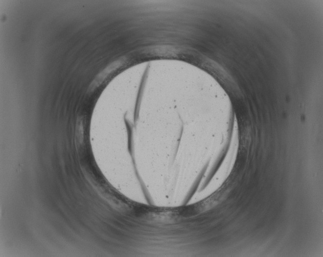 X0000081430120200702092209