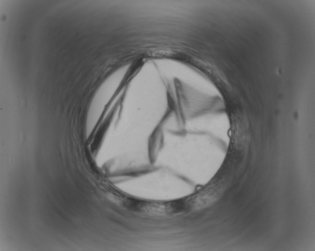 X0000081430123200702092209