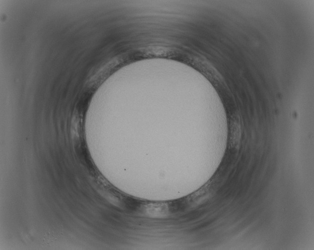 X0000081430126200702092209