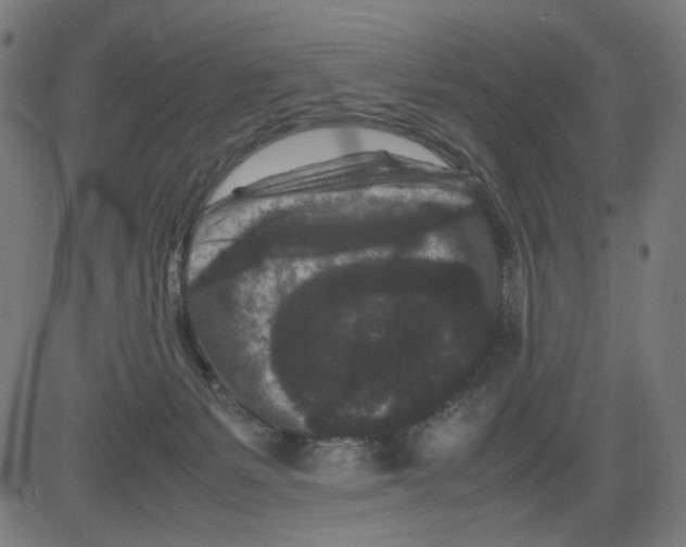 X0000081430127200702092209