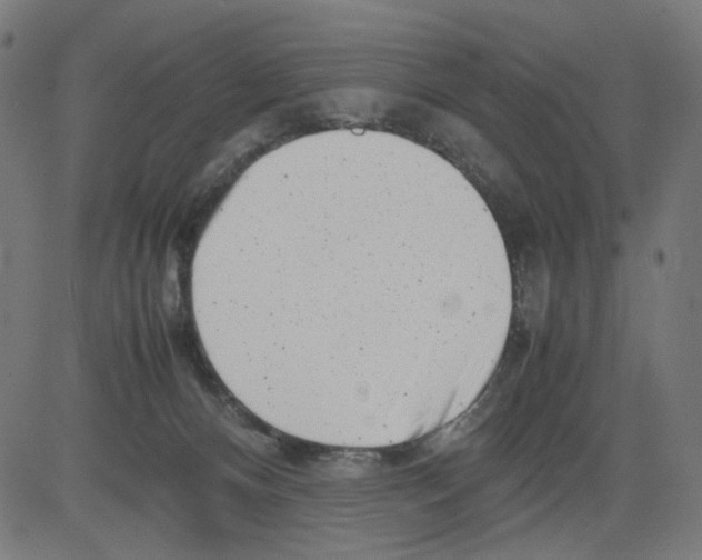 X0000081430128200702092209