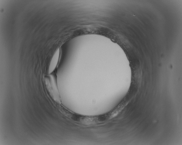 X0000081430129200702092209