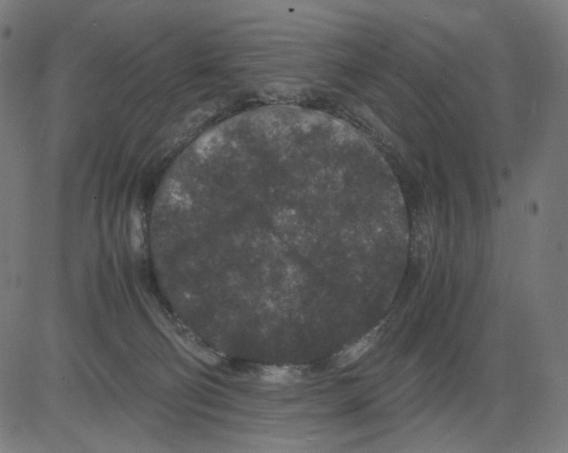 X0000081430130200702092209