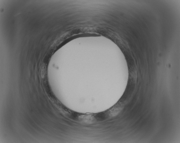 X0000081430133200702092209