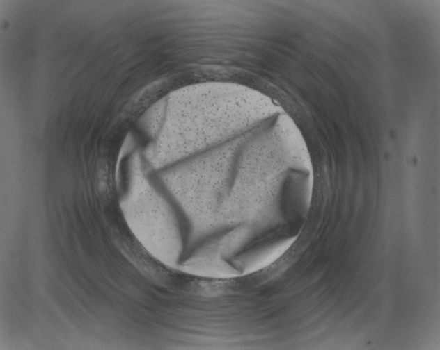 X0000081430134200702092209