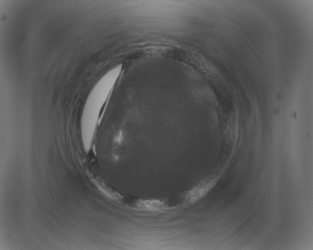 X0000081430137200702092209