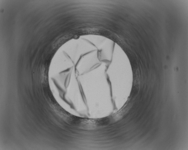 X0000081430140200702092209