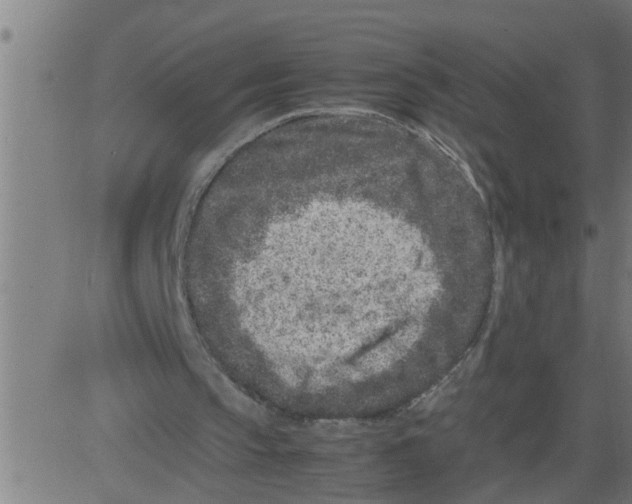 X0000081430145200702092208