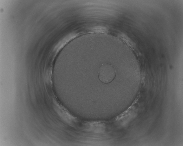 X0000081430146200702092208