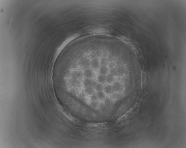 X0000081430147200702092208