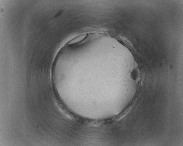 X0000081430148200702092208