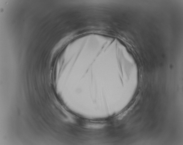 X0000081430149200702092208