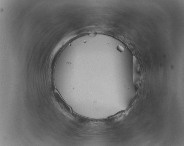 X0000081430150200702092208