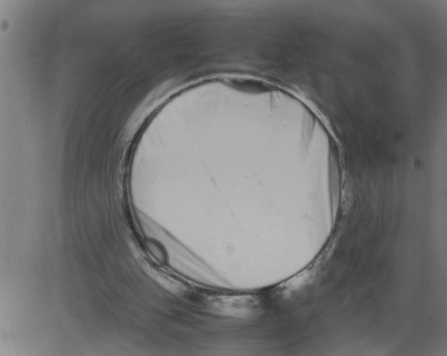 X0000081430151200702092208