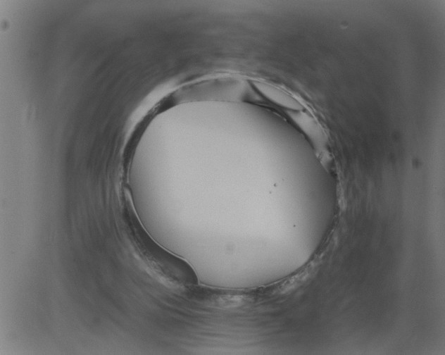 X0000081430152200702092208