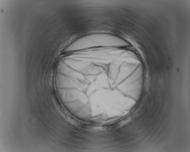 X0000081430153200702092208